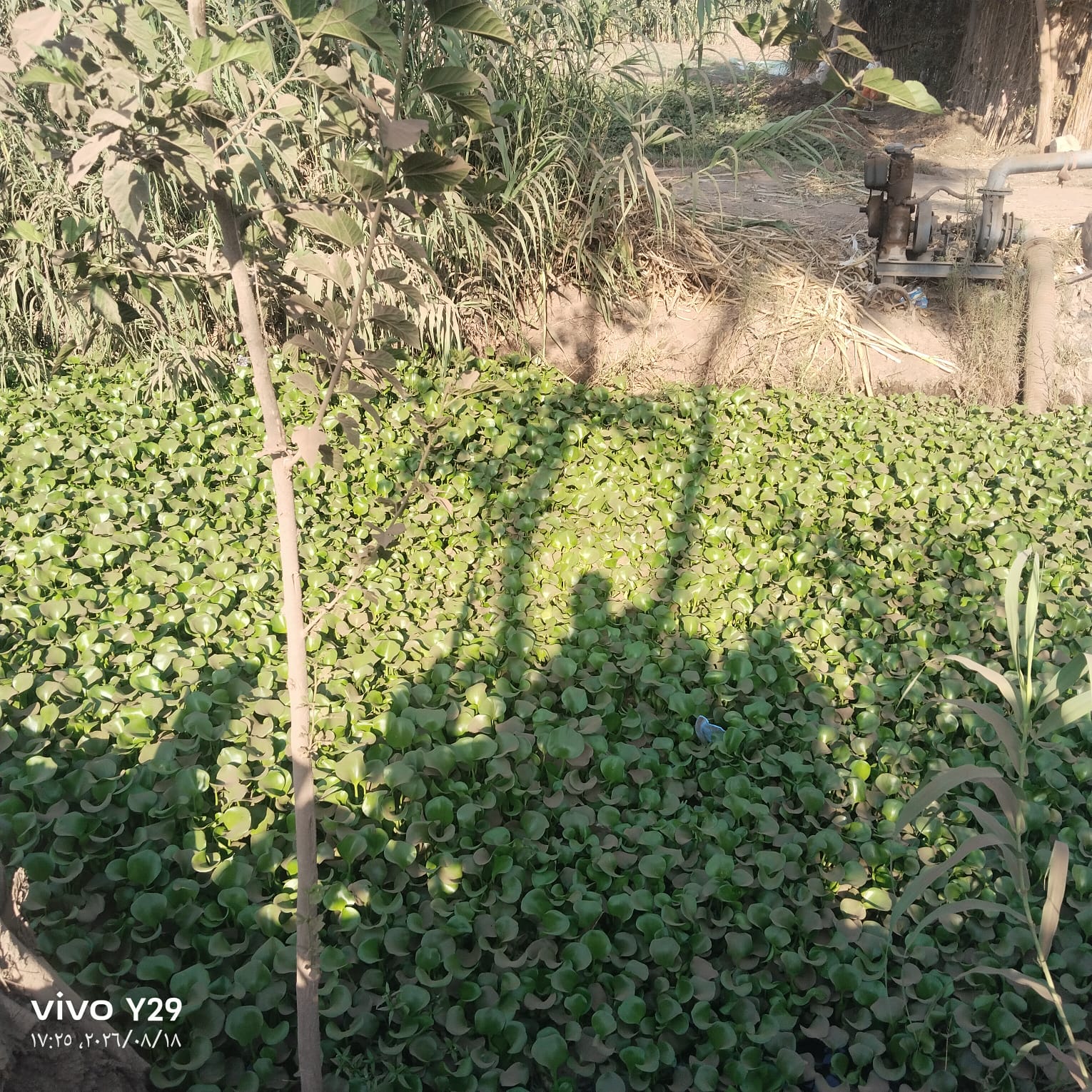 الترعة 2 الترعة 2