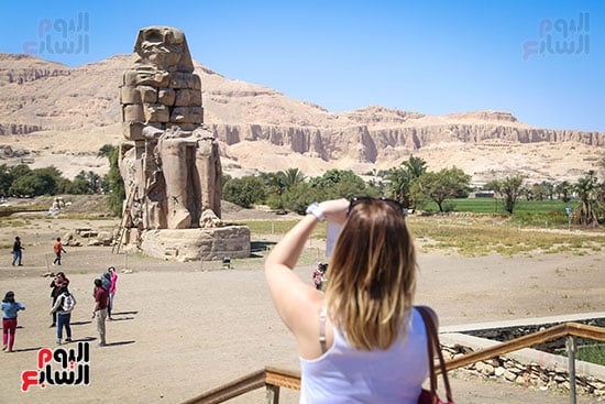 جمال مدينة الاقصر (3)