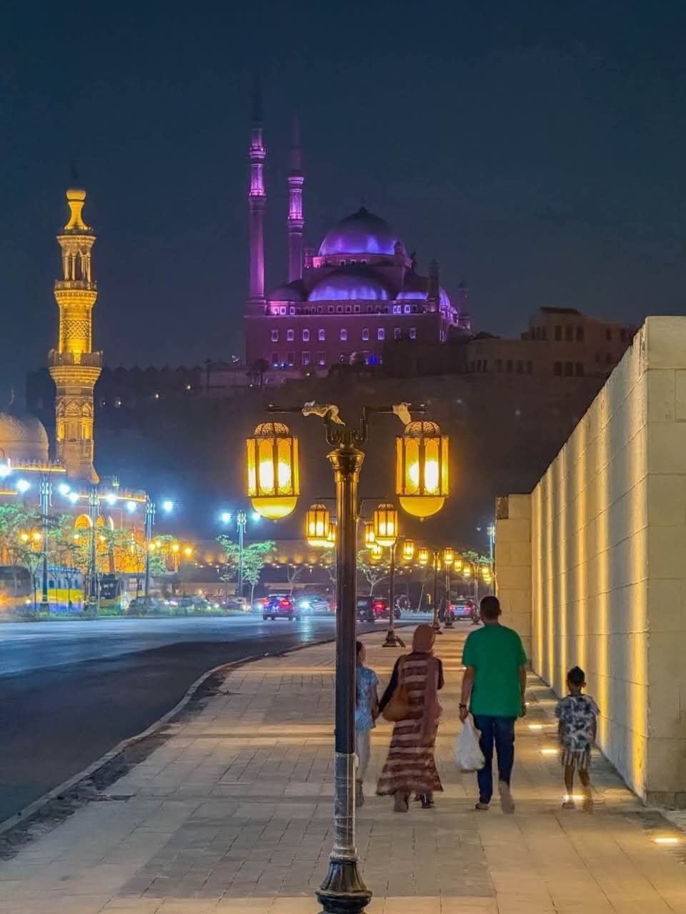 القاهرة التاريخية تبهر الجميع  (8)