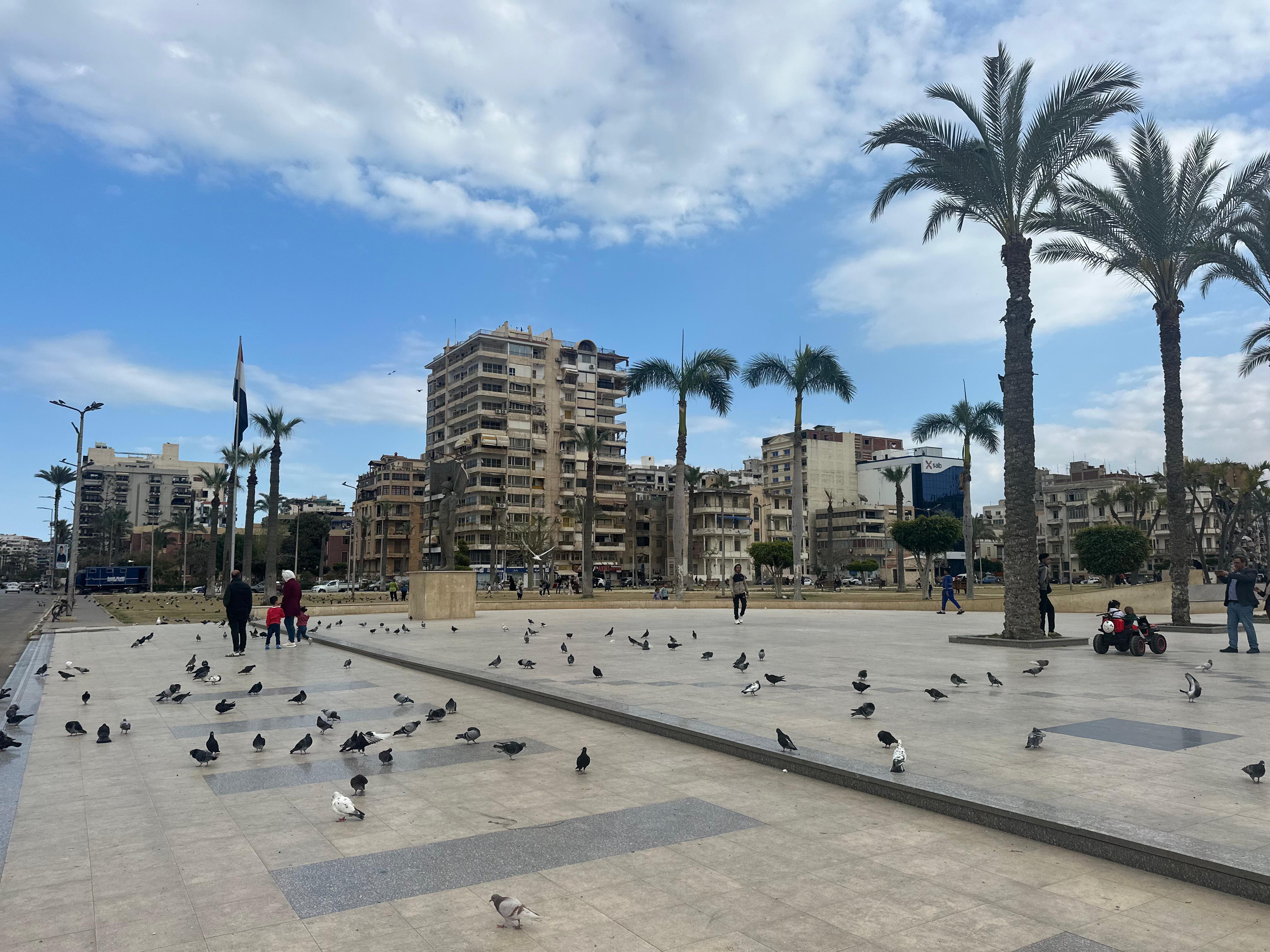 الحديقة