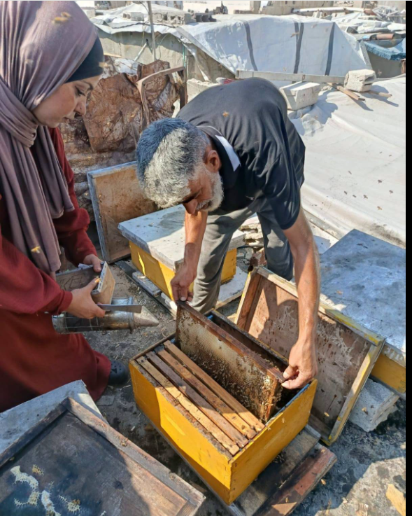 نيفين الأشقر تتابع مشروعها