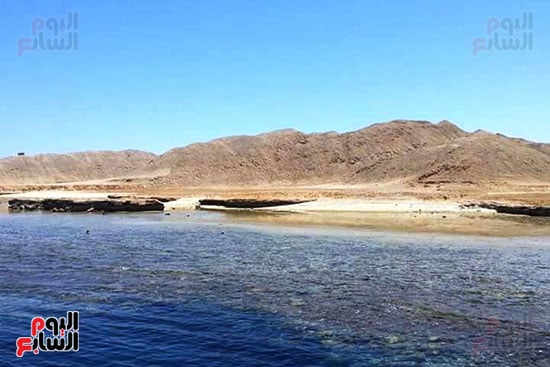 49968-محمية-الجزر-الشمالية 49968-محمية-الجزر-الشمالية