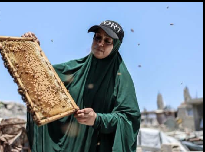 نيفين الأشقر مع خلية النحل