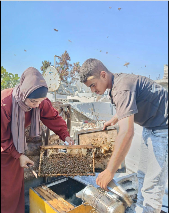 نيفين الأشقر