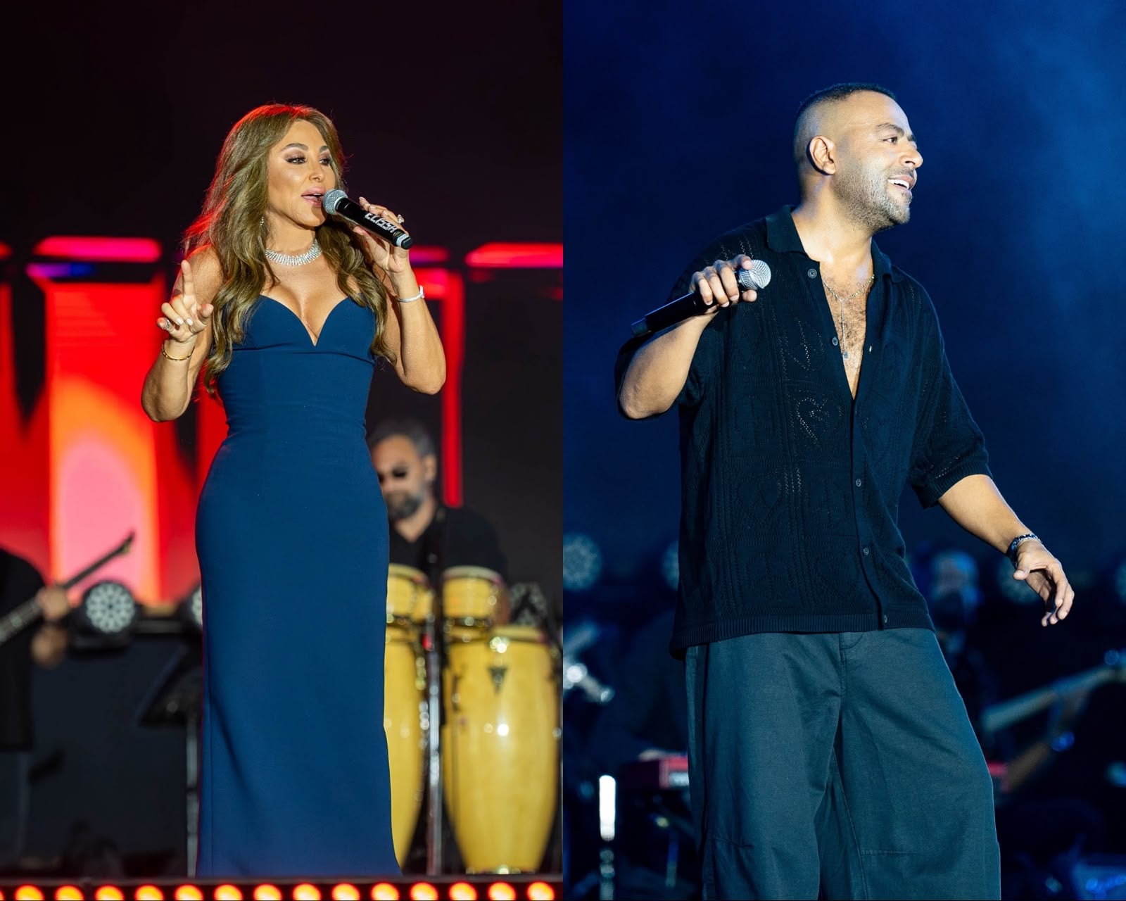 اليسا وتامر عاشور (2)