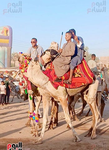 احتفال-الشباب-بالجمال-فى-ذكرى-المولد-النبوى احتفال-الشباب-بالجمال-فى-ذكرى-المولد-النبوى