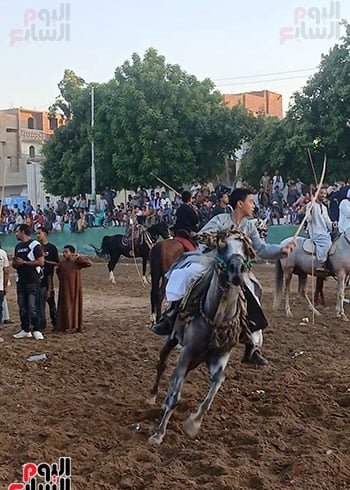 الشباب-على-ظهر-الخيل-فى-احتفالات-المولد-بمنشأة-العمارى الشباب-على-ظهر-الخيل-فى-احتفالات-المولد-بمنشأة-العمارى