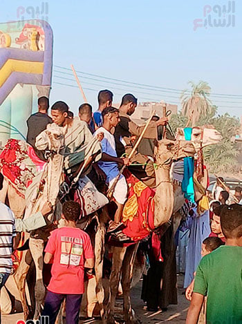 بهجة-الشباب-على-ظهر-الجمال-فى-ذكرى-المولد-النبوى بهجة-الشباب-على-ظهر-الجمال-فى-ذكرى-المولد-النبوى