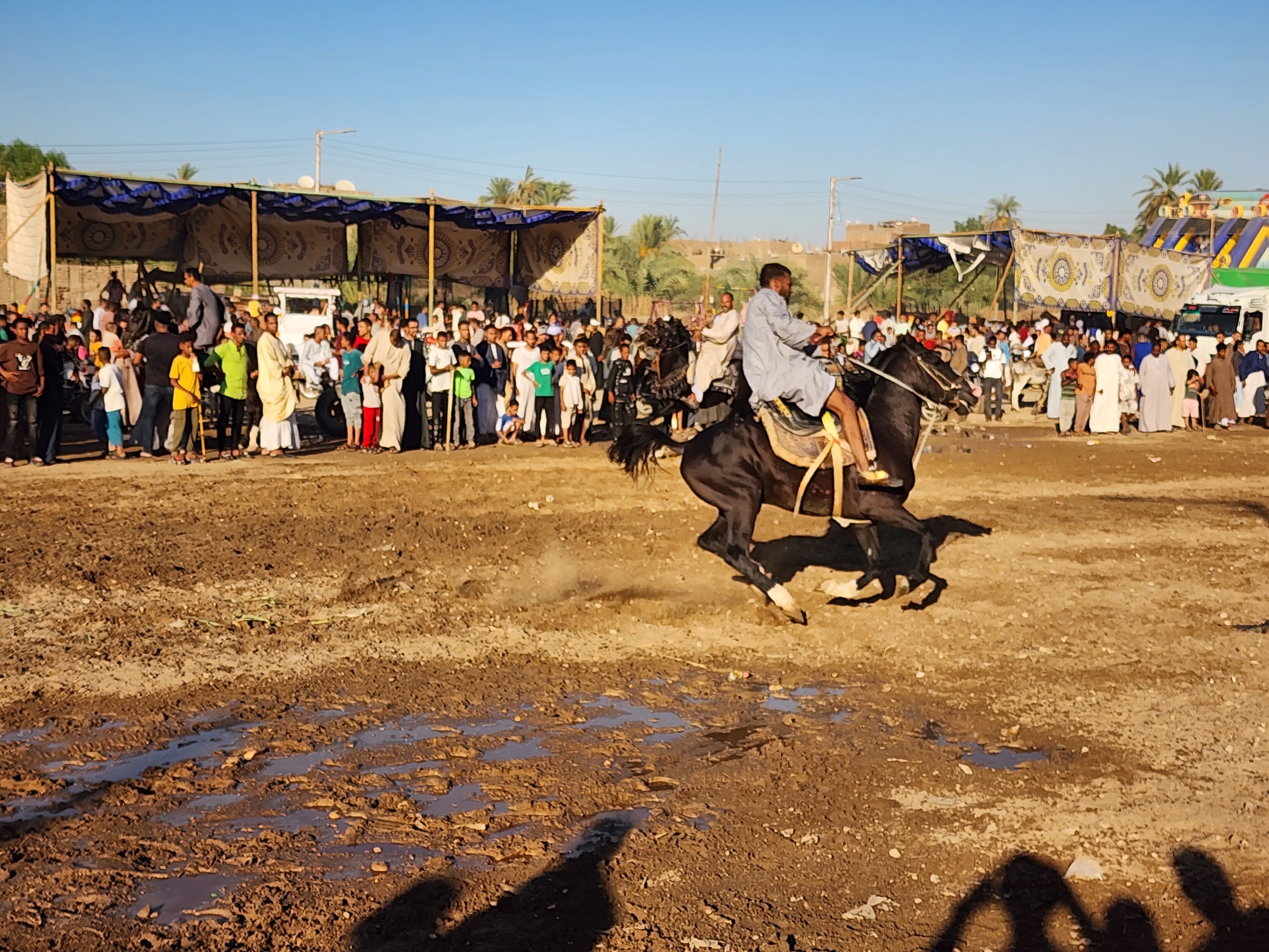 سباقات الخيل سباقات الخيل