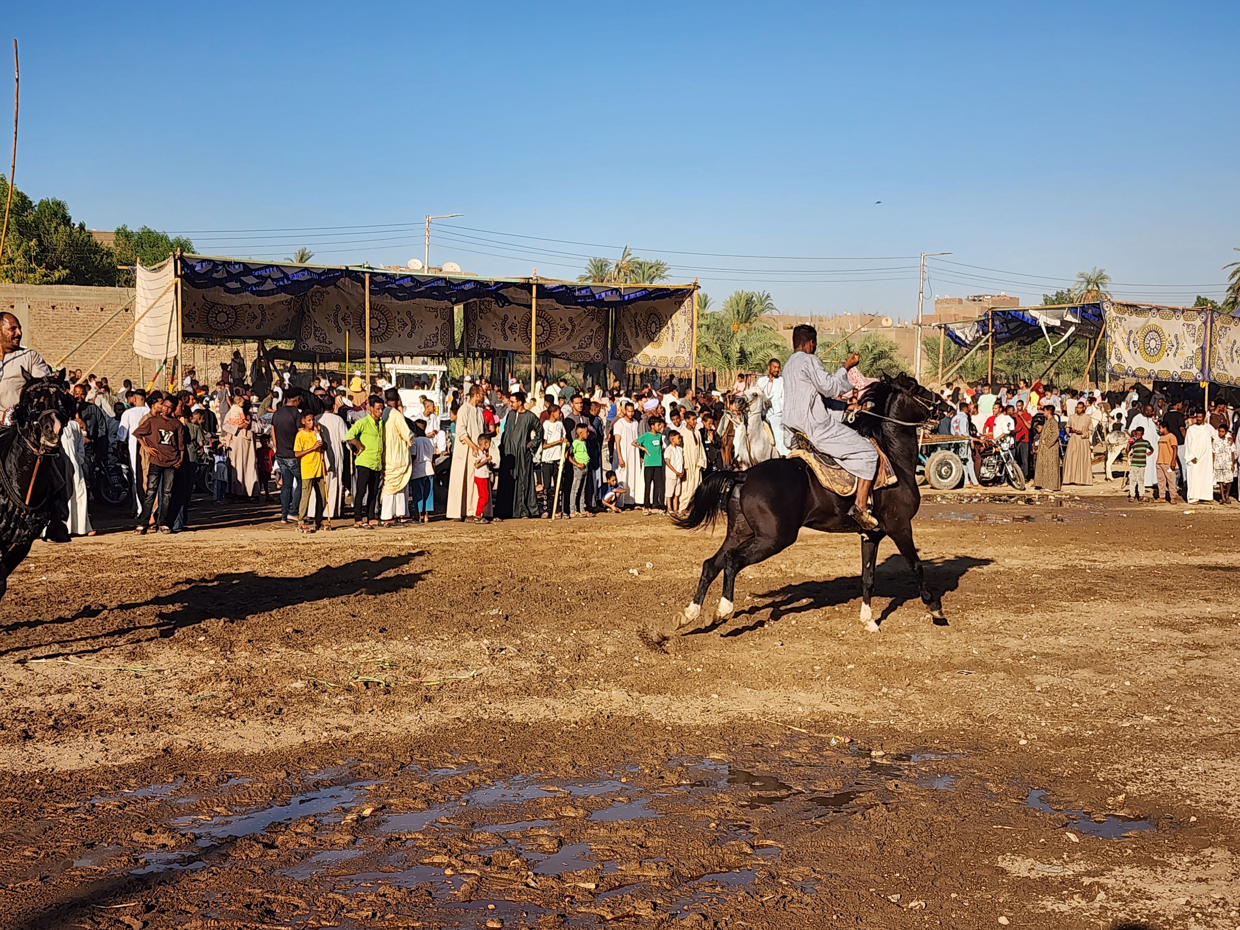 سباقات الخيل العربي سباقات الخيل العربي