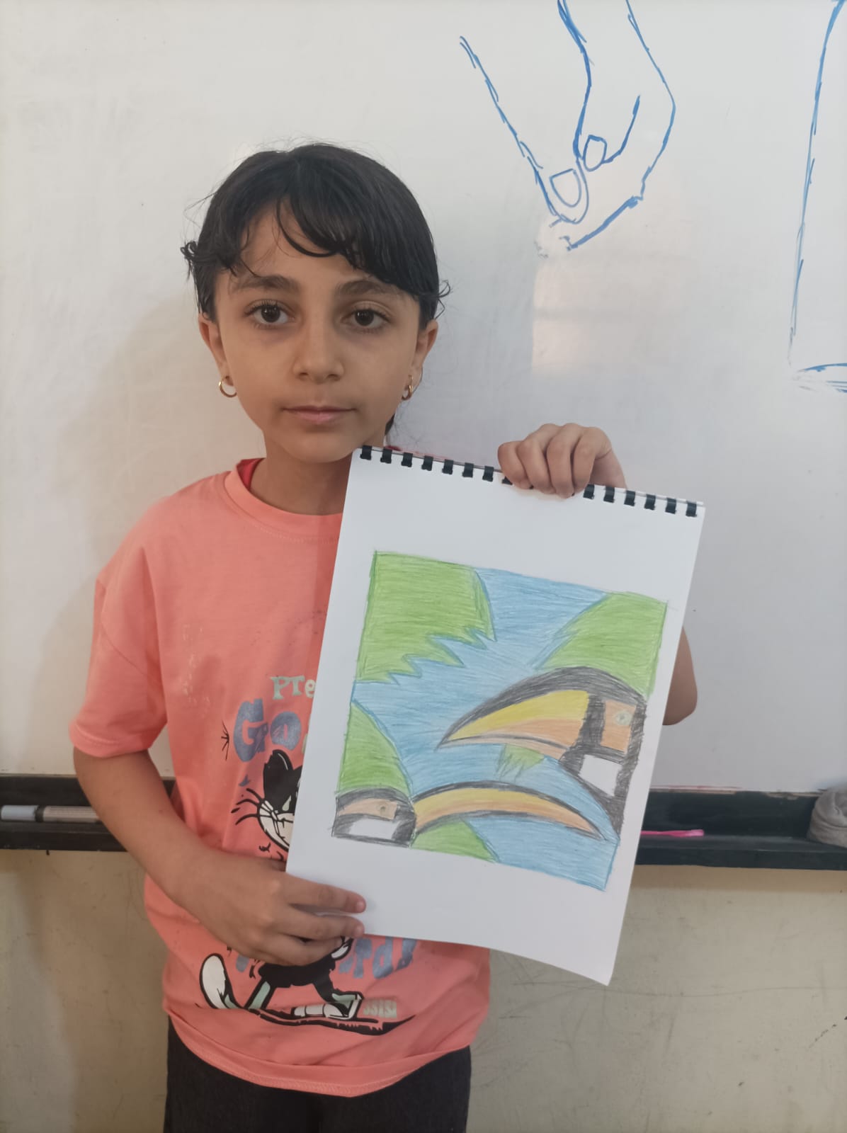 مريم محمد