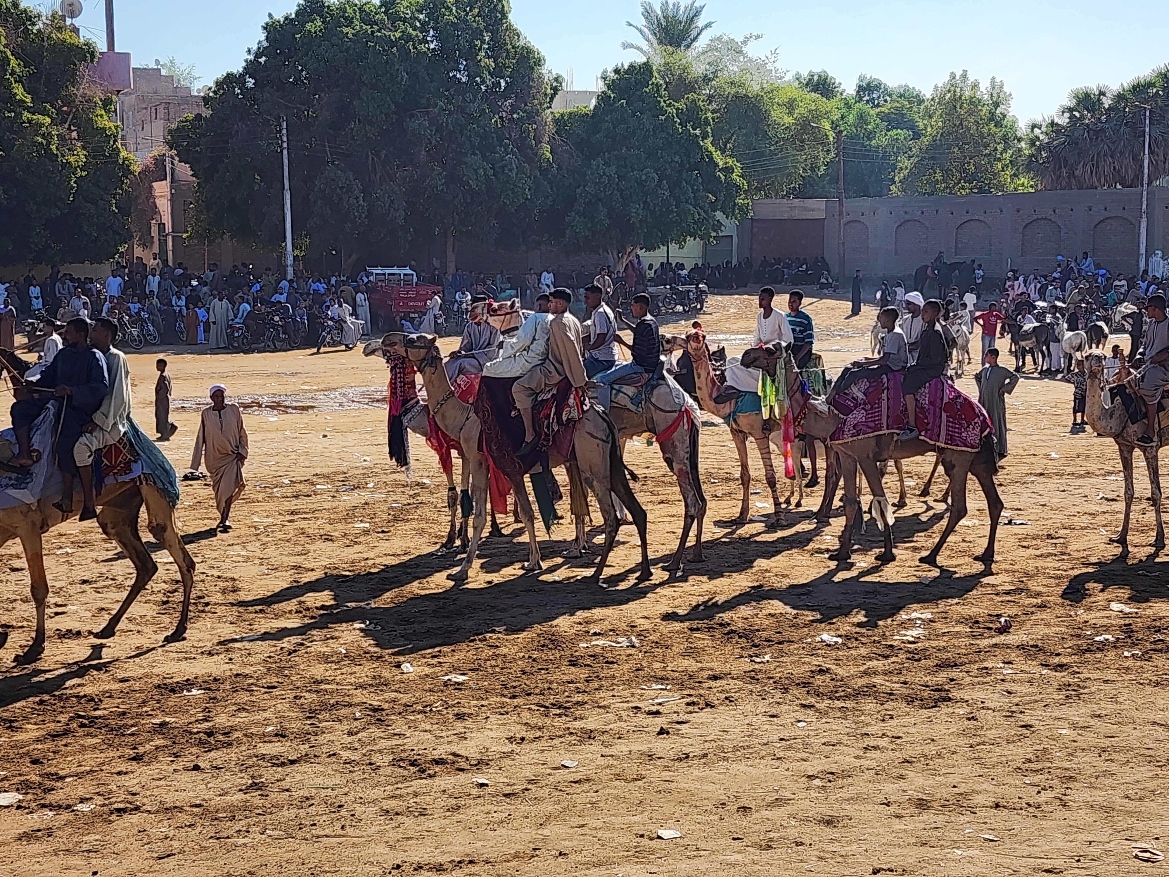 دورة المولد بالجمال