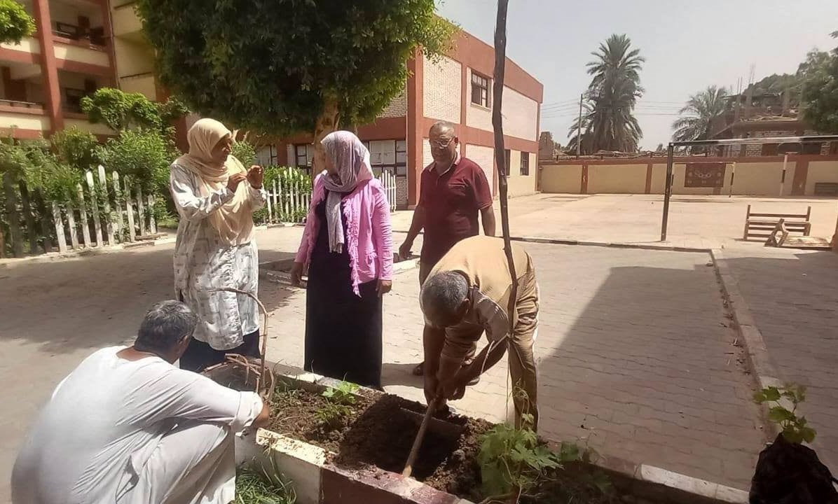 متابعة التشجير والتجميل قبل دخول العام الدراسي الجديد
