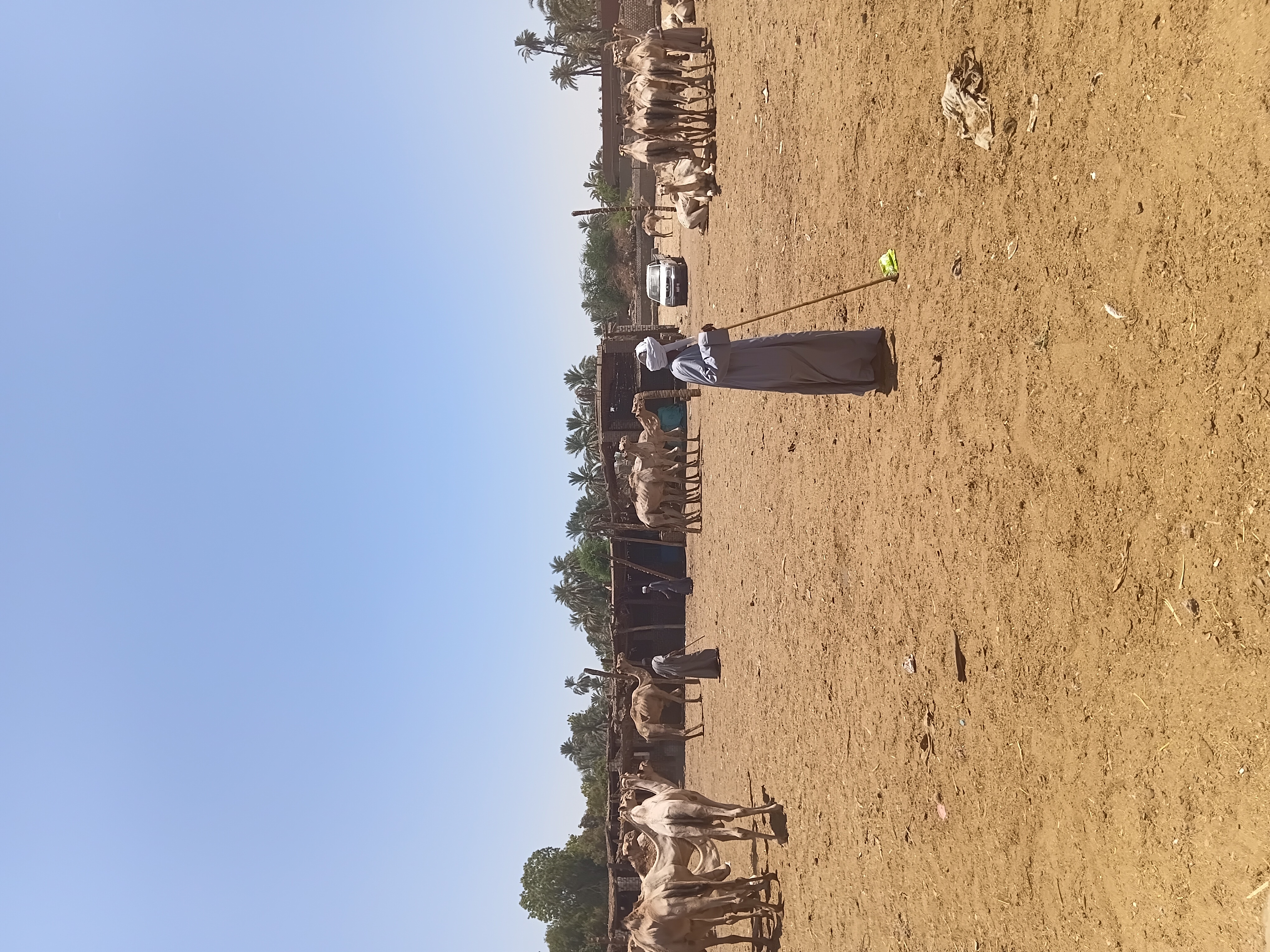 تاجر 