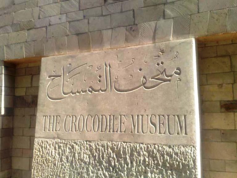 لوحة متحف التمساح