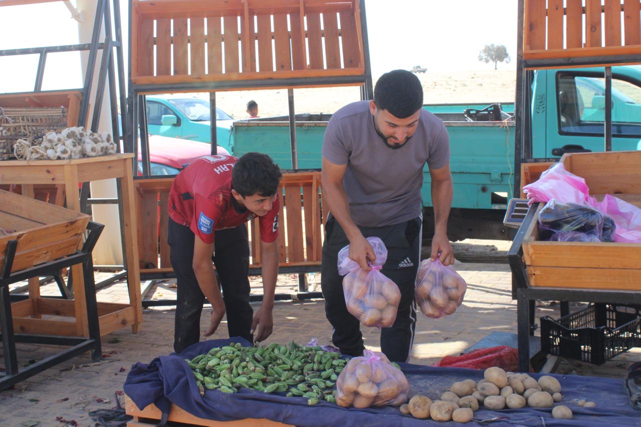 البطاطس السيناوية حاضرة