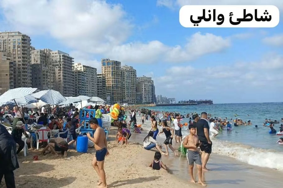 شاطئ وانلى شاطئ وانلى