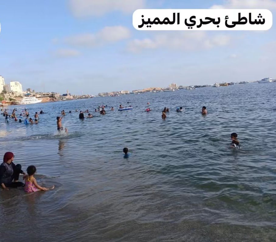 شاطئ بحرى المميز شاطئ بحرى المميز