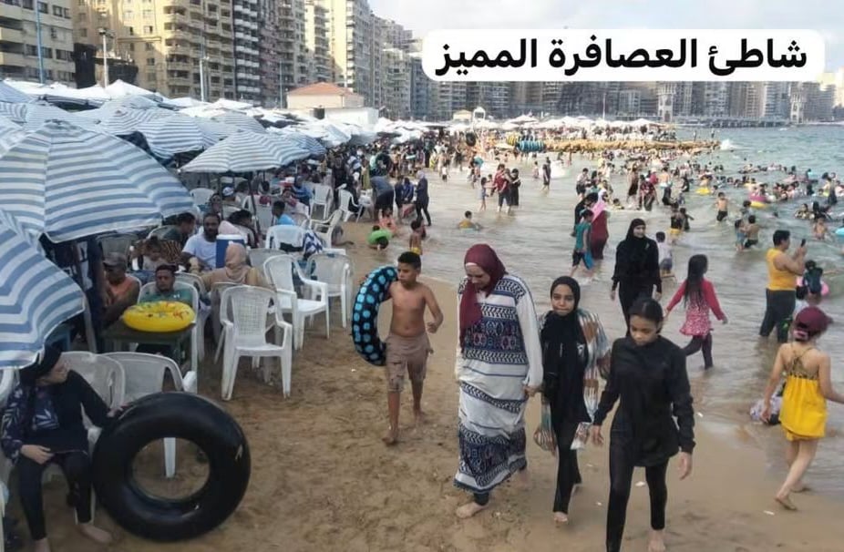 العصافره المميز العصافره المميز