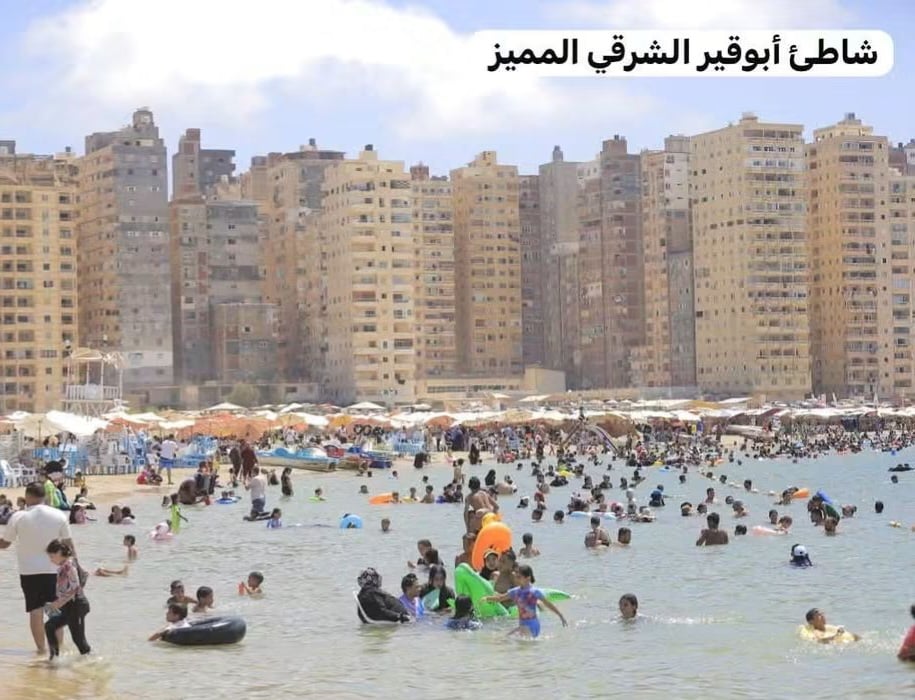 ابوقير المميز ابوقير المميز