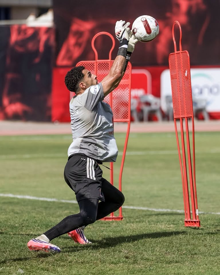 مصطفى شوبير