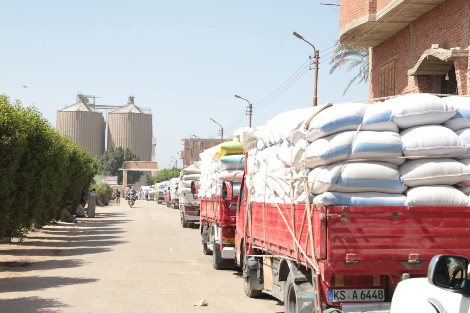 توريد القمح 