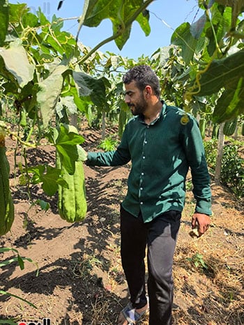 بشاير-الخير بشاير-الخير