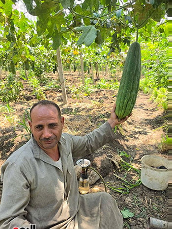 عبد-الله-أبو-صالح عبد-الله-أبو-صالح