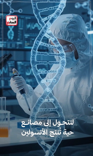 انتاج الدواء في مصر