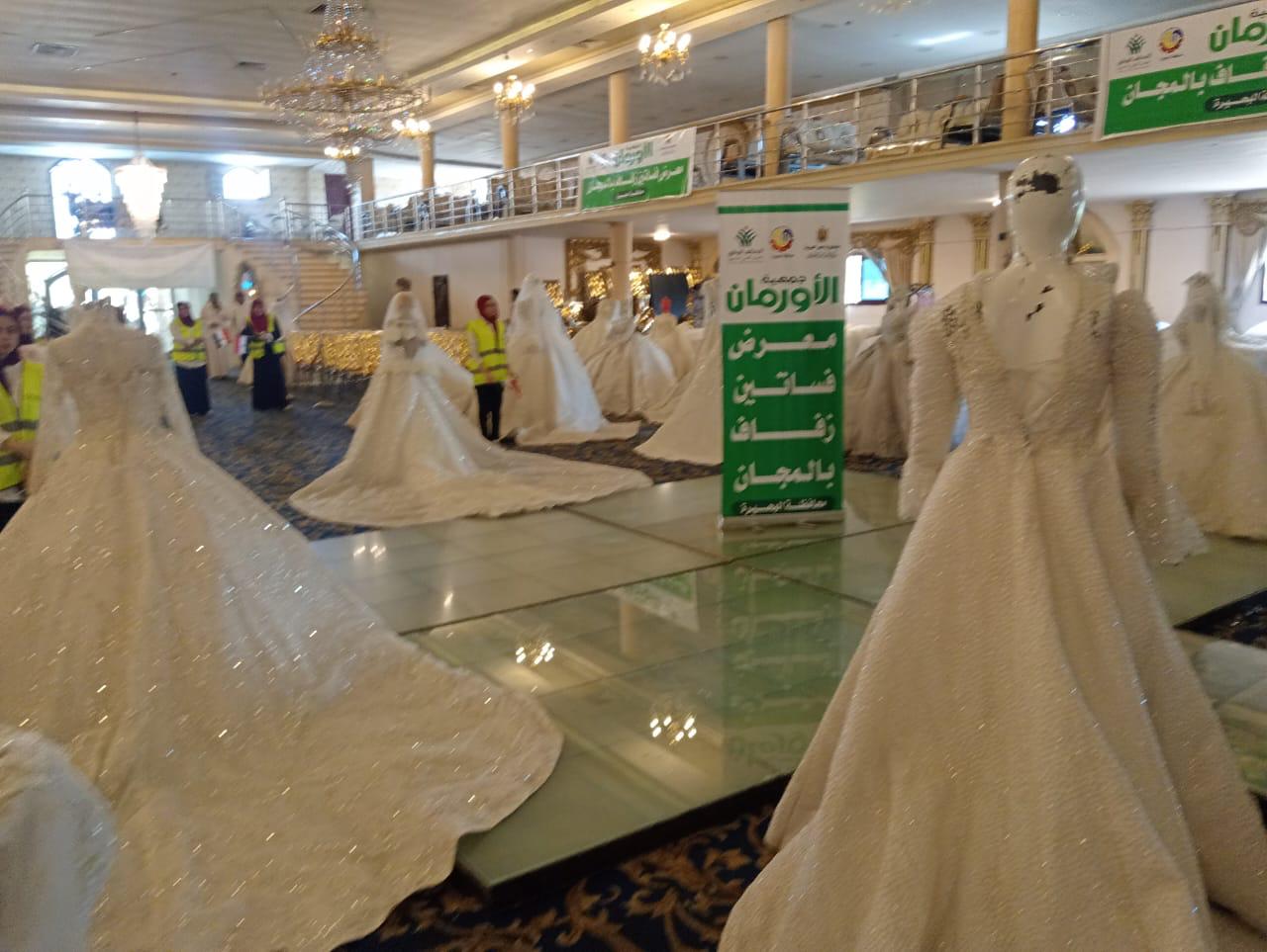  الأورمان عضو التحالف الوطني تواصل «إيد واحدة (6)