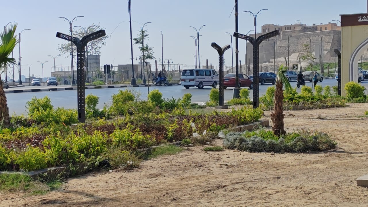 اعمال التشجير بمحور صلاح سالم الجديد اعمال التشجير بمحور صلاح سالم الجديد