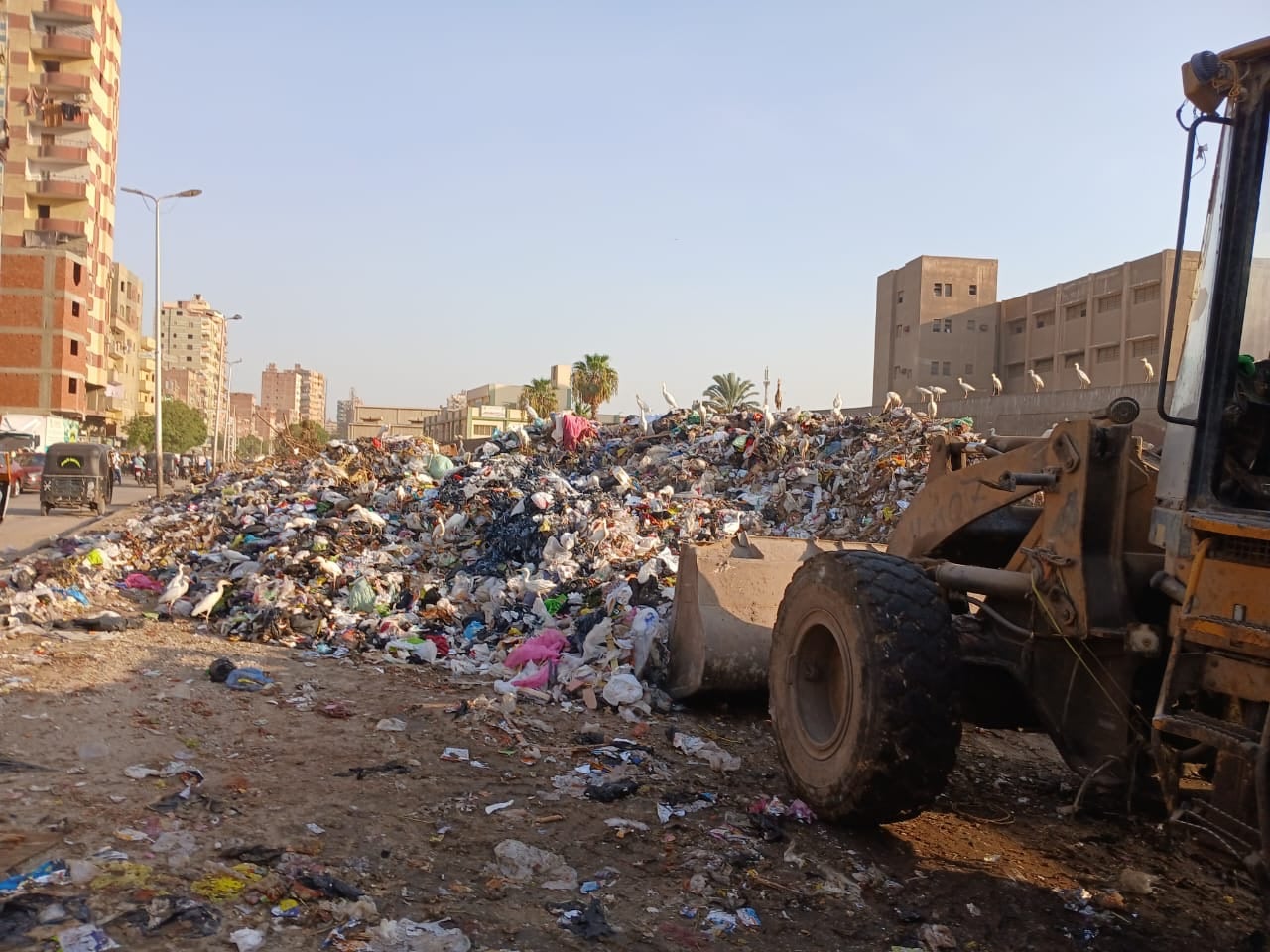 القمامة في بولاق الدكرور القمامة في بولاق الدكرور