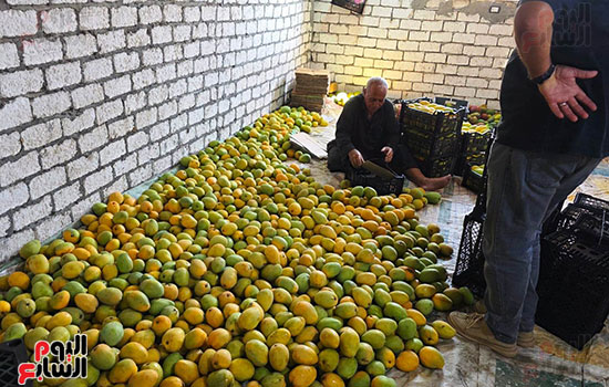 جانب-من-عمليات-الرص جانب-من-عمليات-الرص