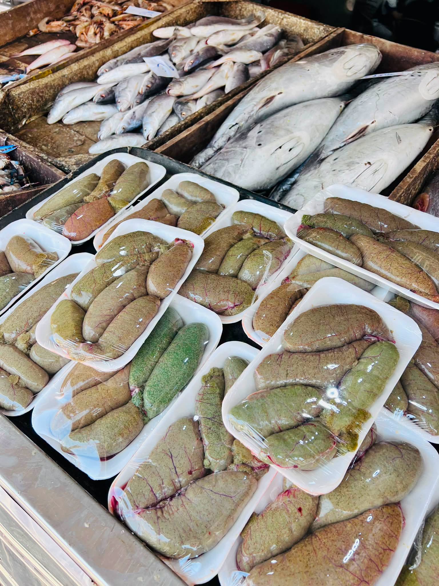 أسماك كفر الشيخ
