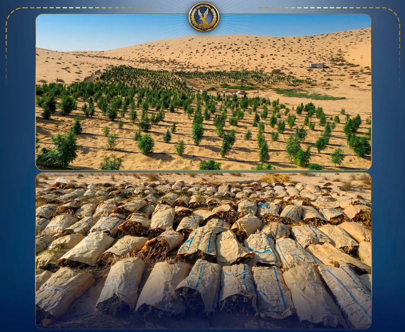 مضبوطات الحملات الامنية  (3)
