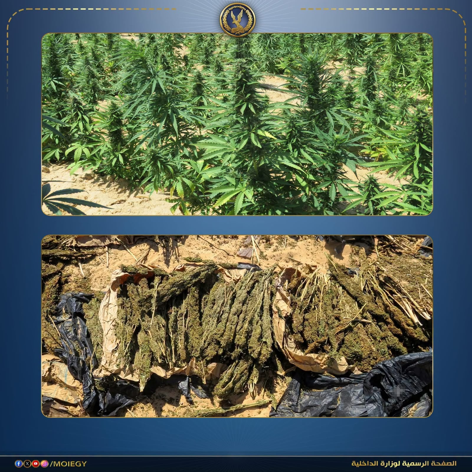 مضبوطات الحملات الامنية  (7)