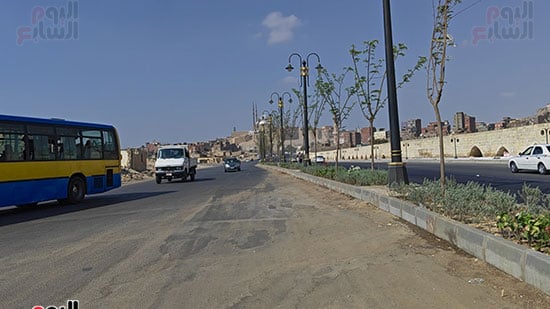 التشجير-بمحيط-السيدة-عائشة