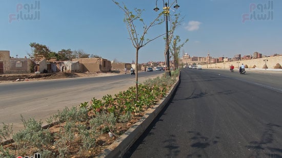 تشجير-شارع-صلاح-سالم