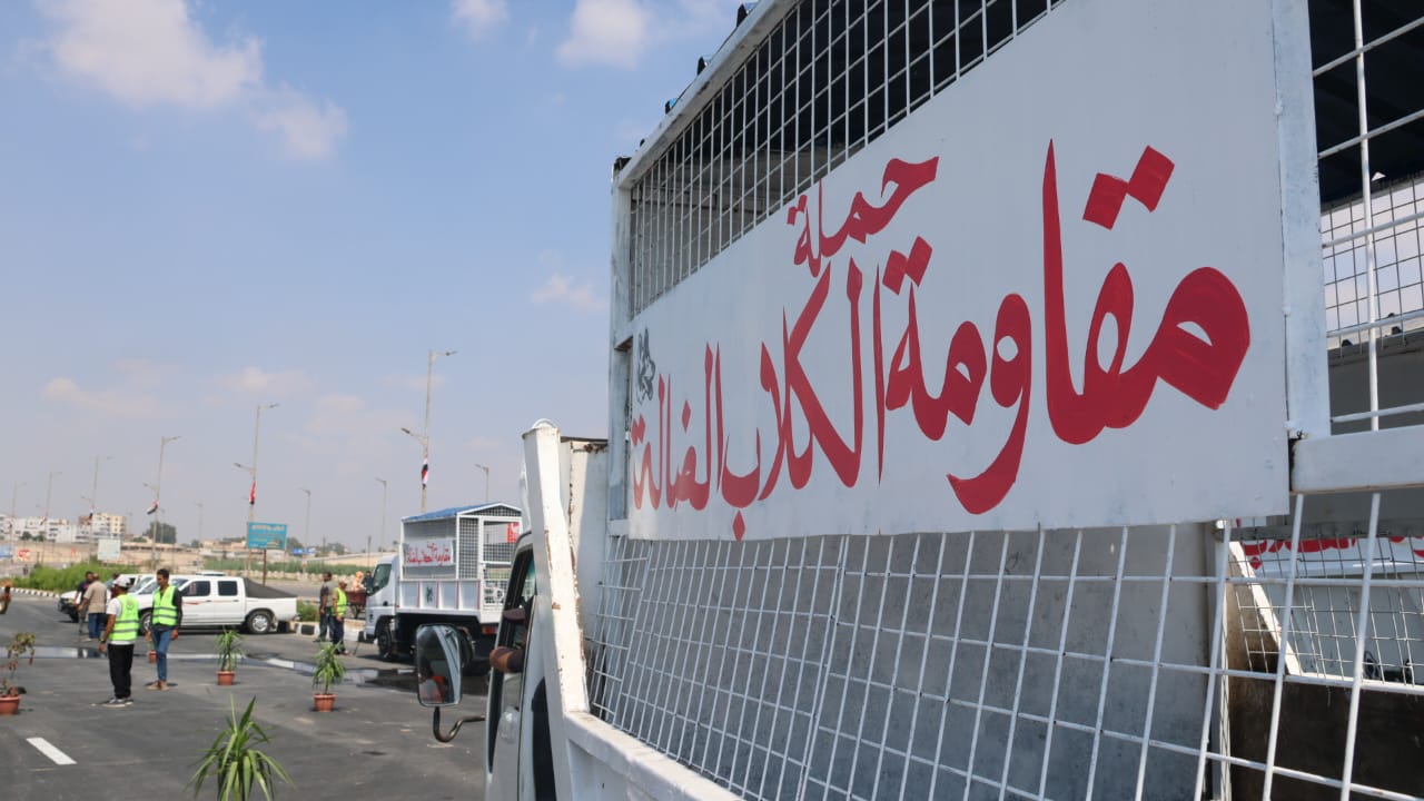 حملة مقاومة الكلاب الضالة حملة مقاومة الكلاب الضالة