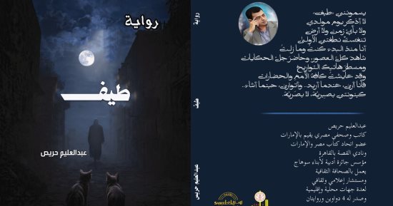 رواية طيف
