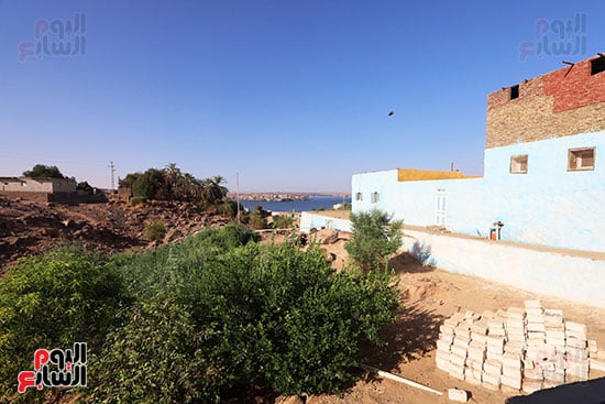 الجزيرة