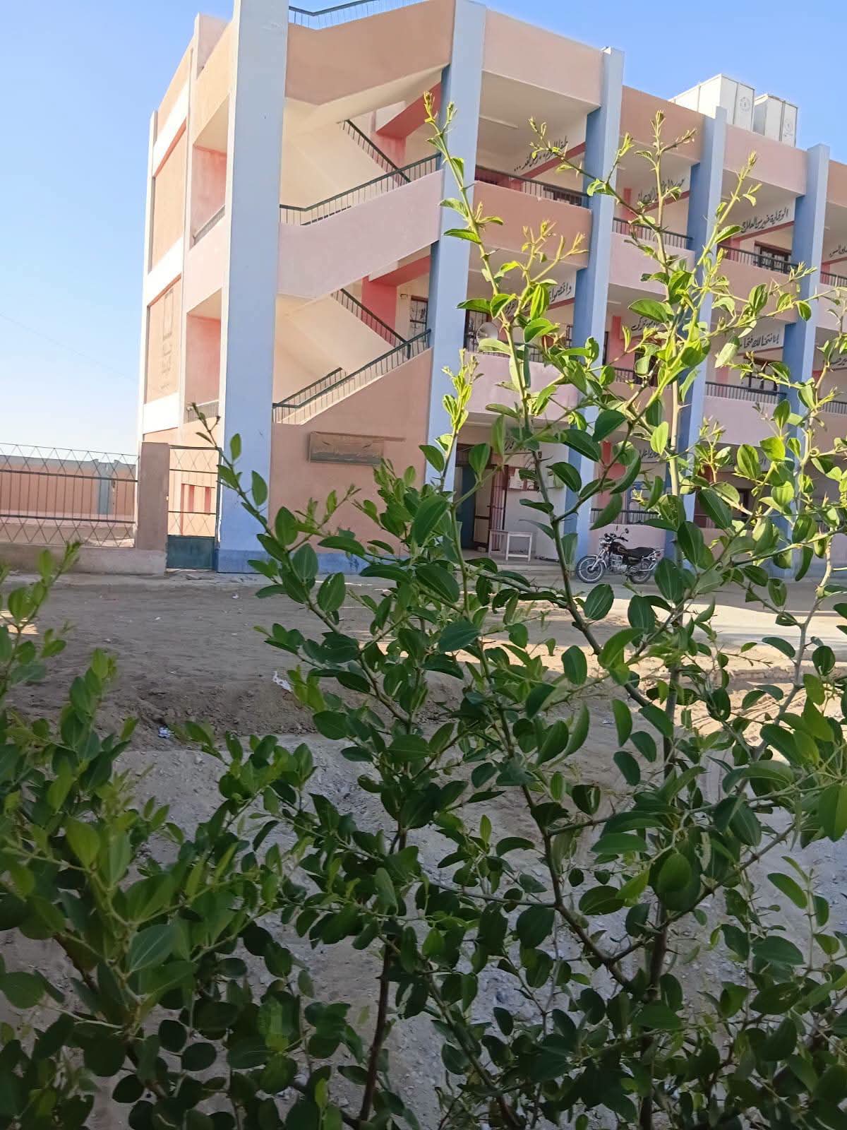 الخضرة مستديمة فى مدارس الوادي الجديد الخضرة مستديمة فى مدارس الوادي الجديد