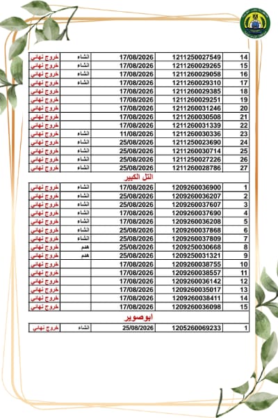1000391213