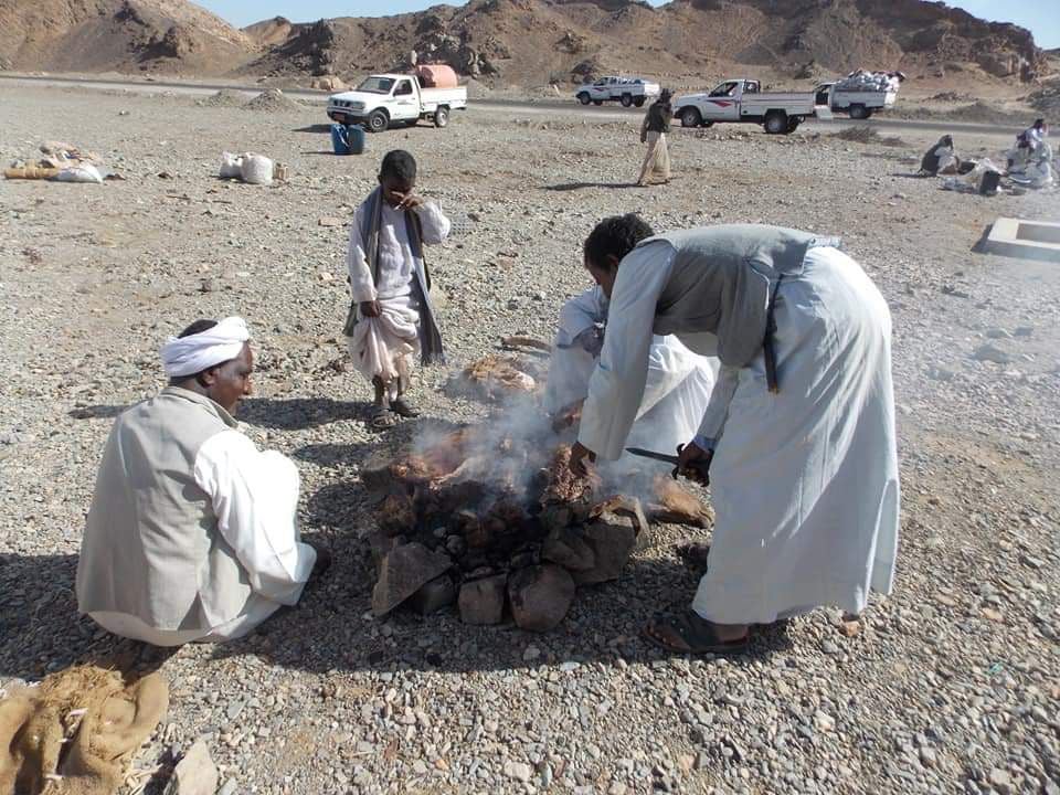 نحر الماشية لتجهيز للكرامة 