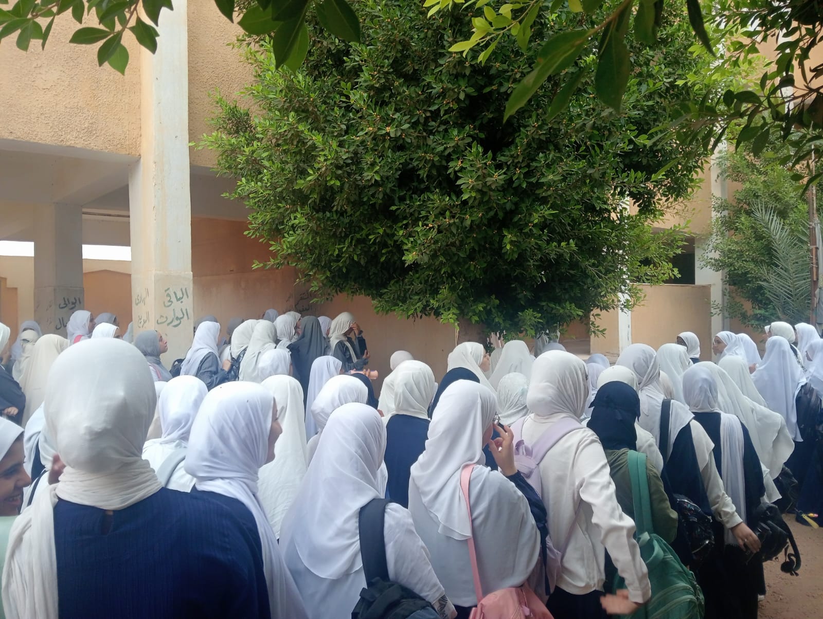طالبات المعاهد الأزهرية طالبات المعاهد الأزهرية