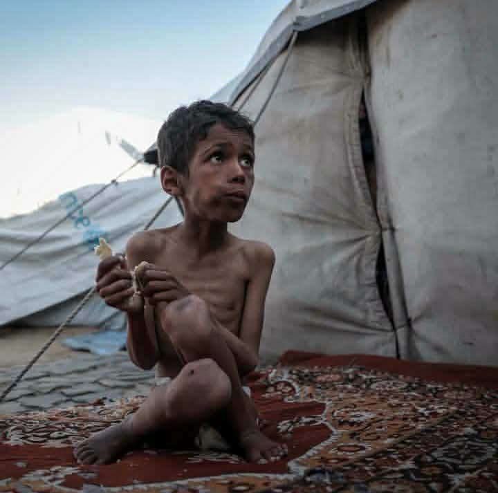محمد السوسى
