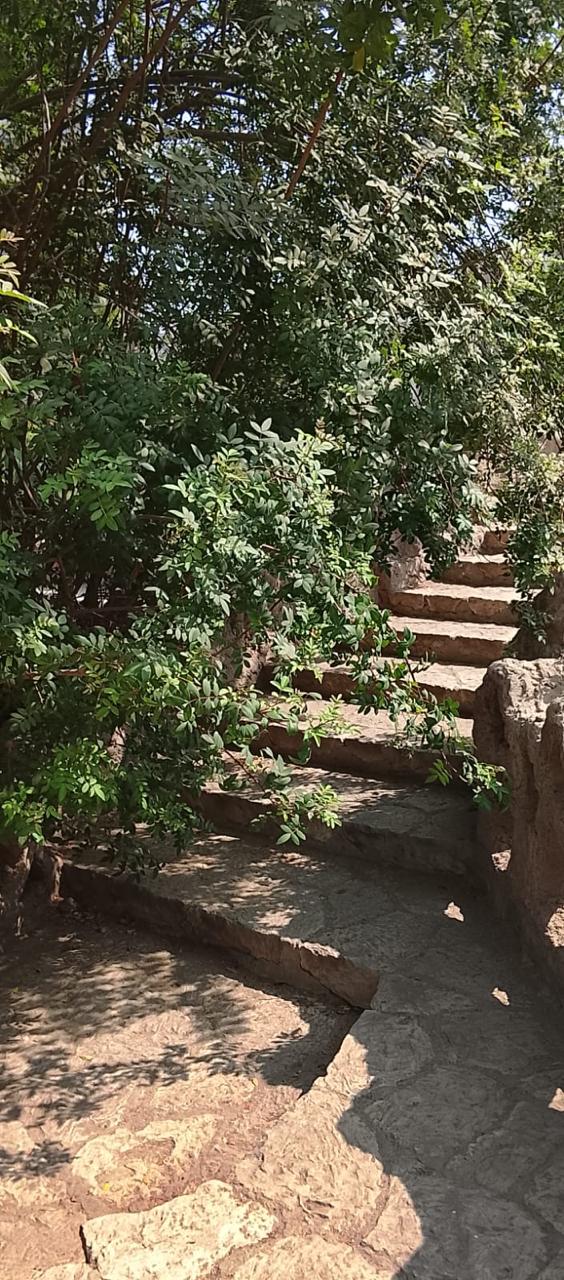 الأشجار بحديقة الأسماك