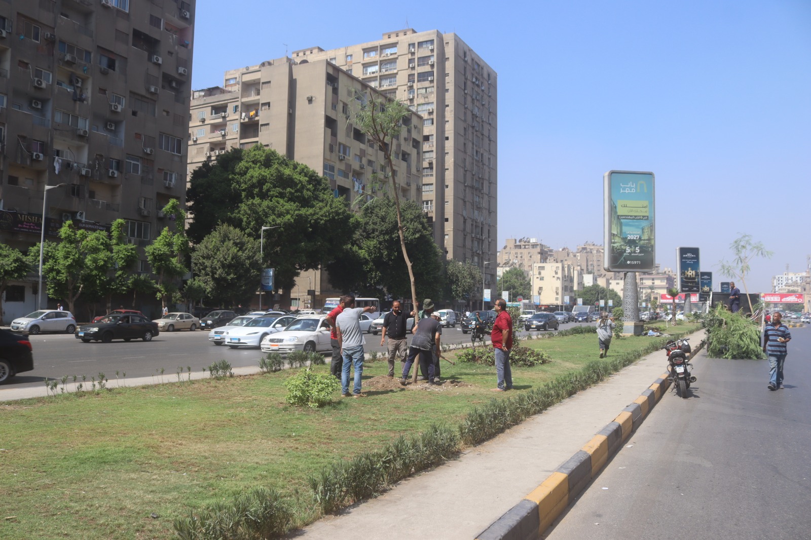 زراعة أشجار ونباتات مزهرة بشوارع الجيزة (3)