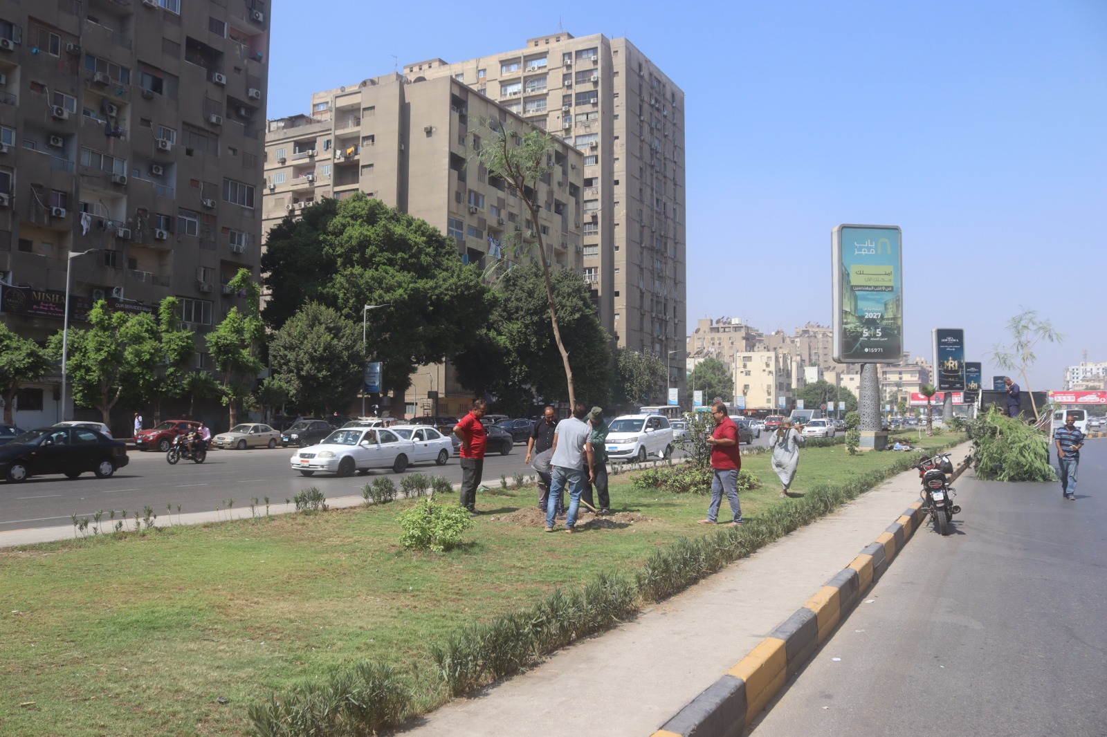 زراعة أشجار ونباتات مزهرة بشوارع الجيزة (2)