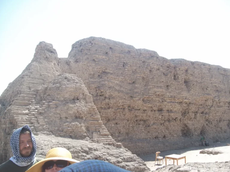 شونة الزبيب بأبيدوس سوهاج (2)
